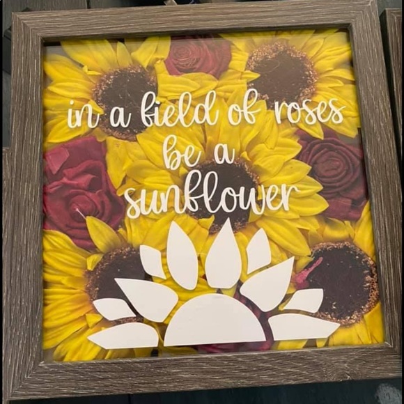 Shadow Boxes - Picture 7 of 14